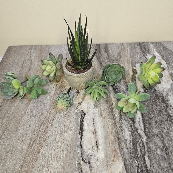 Fake Succulent Lot - Picture 4 of 6